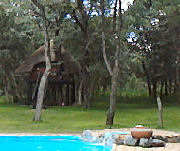 Sikumi Tree Lodge